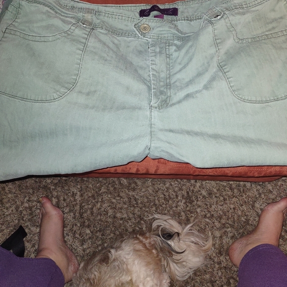 Gloria Vanderbilt Pants - Carpi green shorts size 24.
